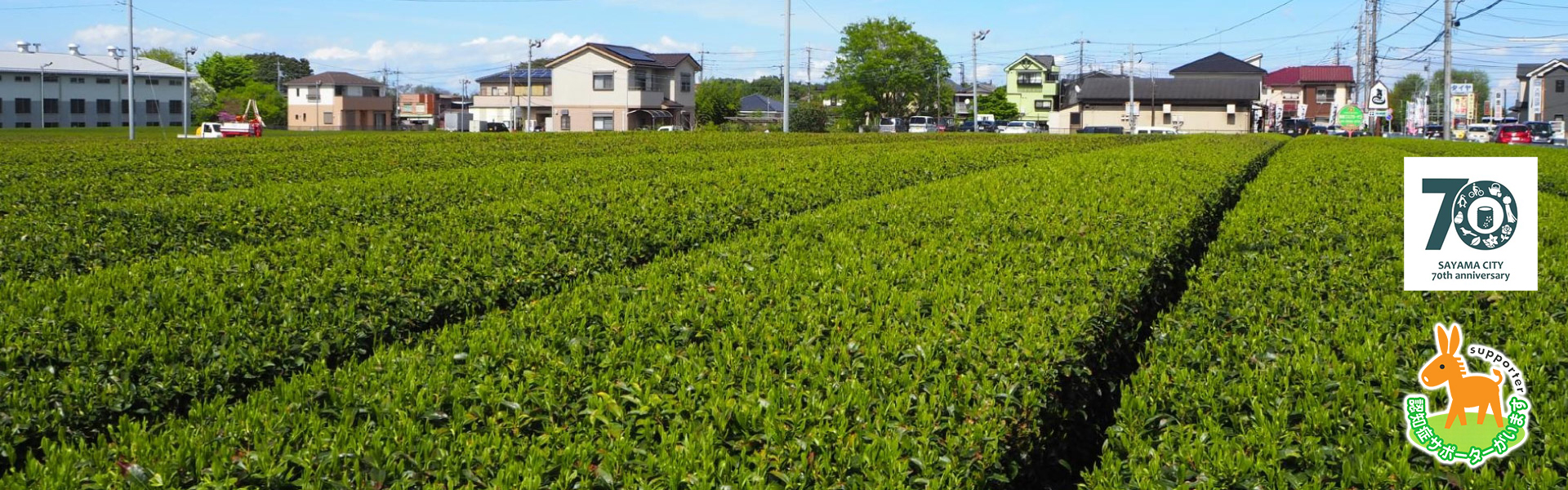 狭山市茶づみ通り